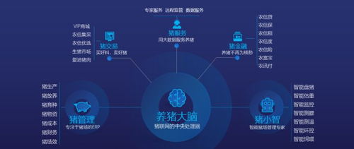 數(shù)據(jù)驅(qū)動(dòng)未來 市場(chǎng)調(diào)查在產(chǎn)業(yè)發(fā)展與企業(yè)根基構(gòu)建中的核心價(jià)值