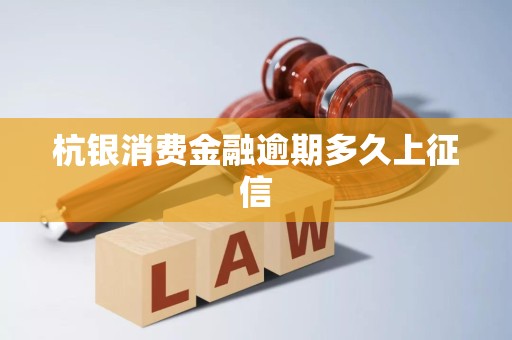 杭銀消費金融逾期多久上征信？全面解析企業(yè)征信服務